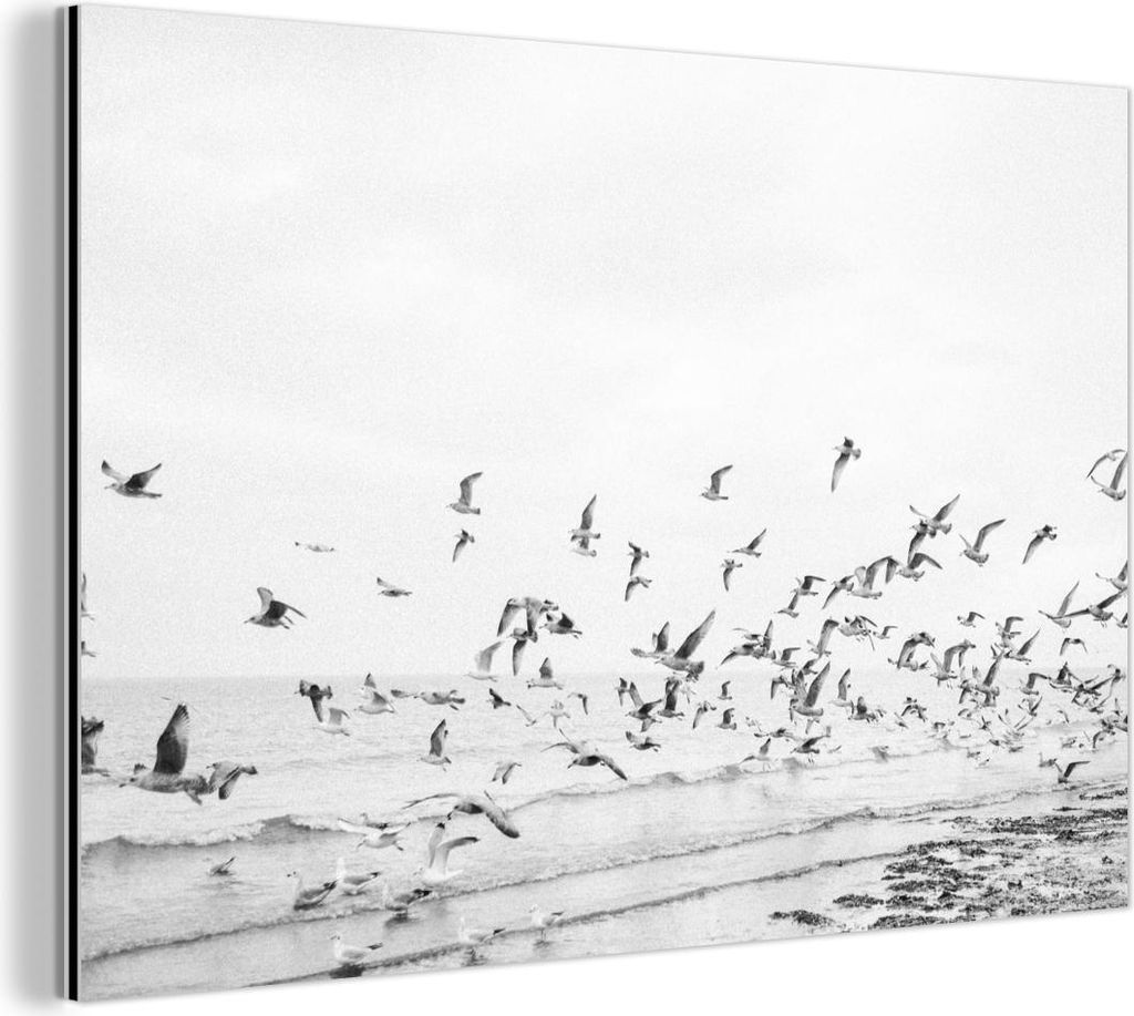 MuchoWow Wanddekoration Metall Metallbild Wandkunst 150x100 cm Meer - Vögel - Natur - Möwen MuchoWow Aluminium Gemälde - Alu Dibond Bild