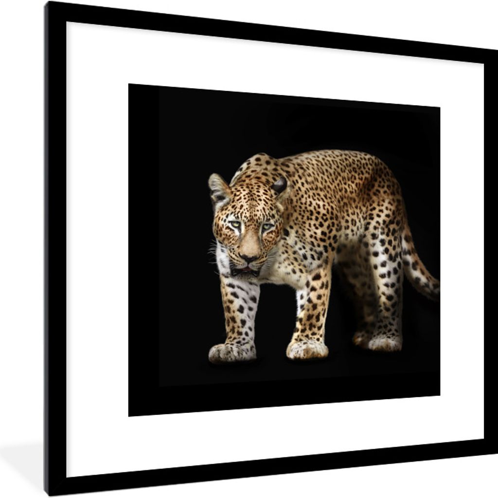 MuchoWow Gerahmtes Poster Leopard - Fell - Wild 40x40 cm - Poster mit Schwarzem Bilderrahmen Wandposter Rahmen Foto Bilder - Poster - Plakat im R...