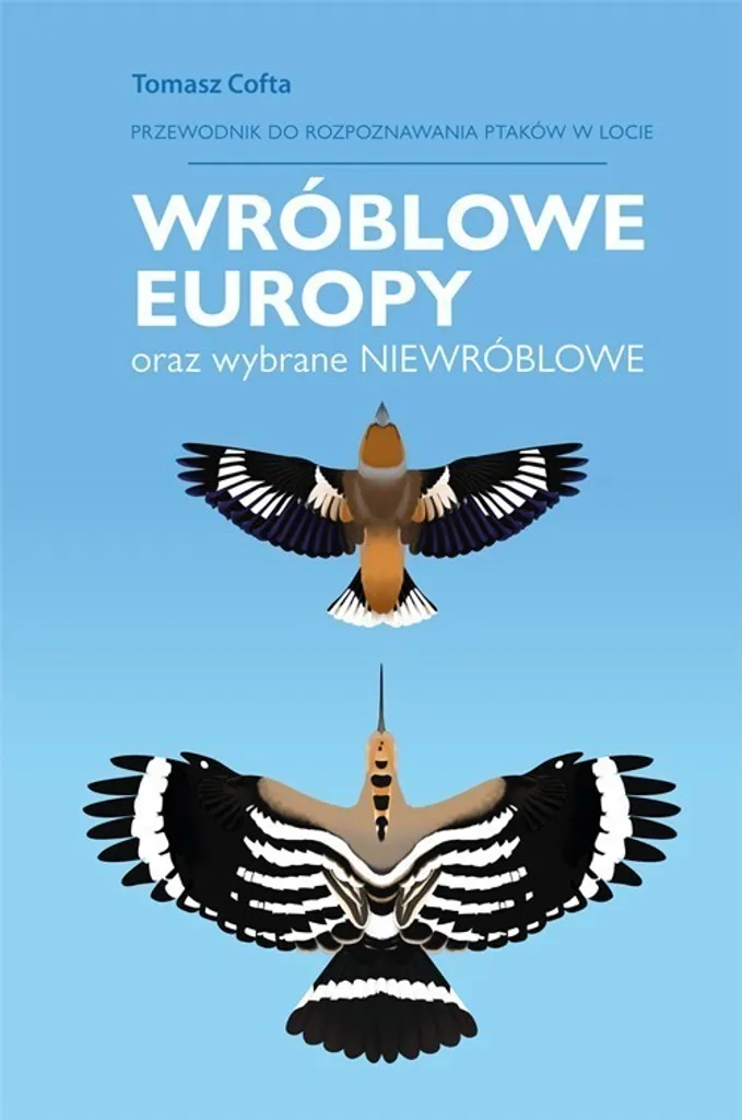 Guide ornithologique Wróblowe Europy : passereaux en vol et identification