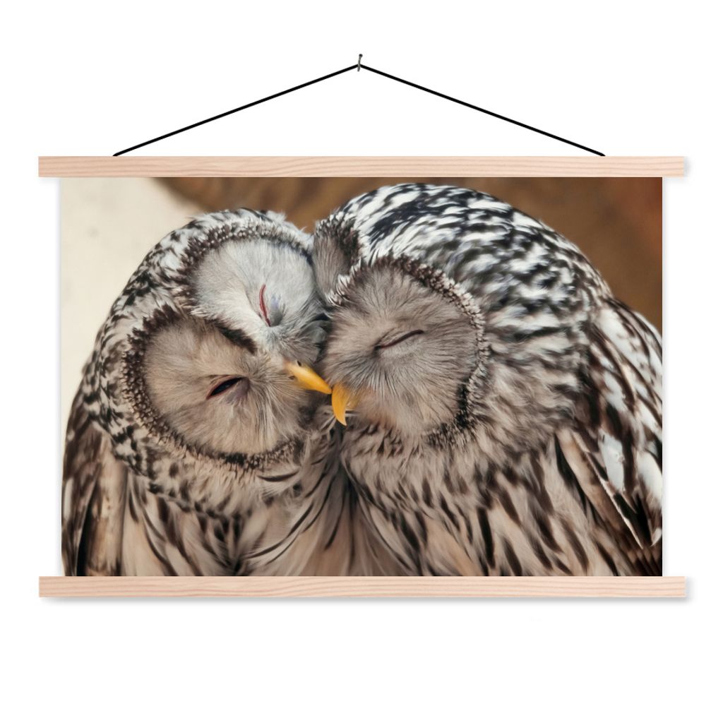 MuchoWow Textilposter Eulen - Vögel - Schnabel - Familie 60x40 cm mit holzfarbenen Rahmen - Bilder