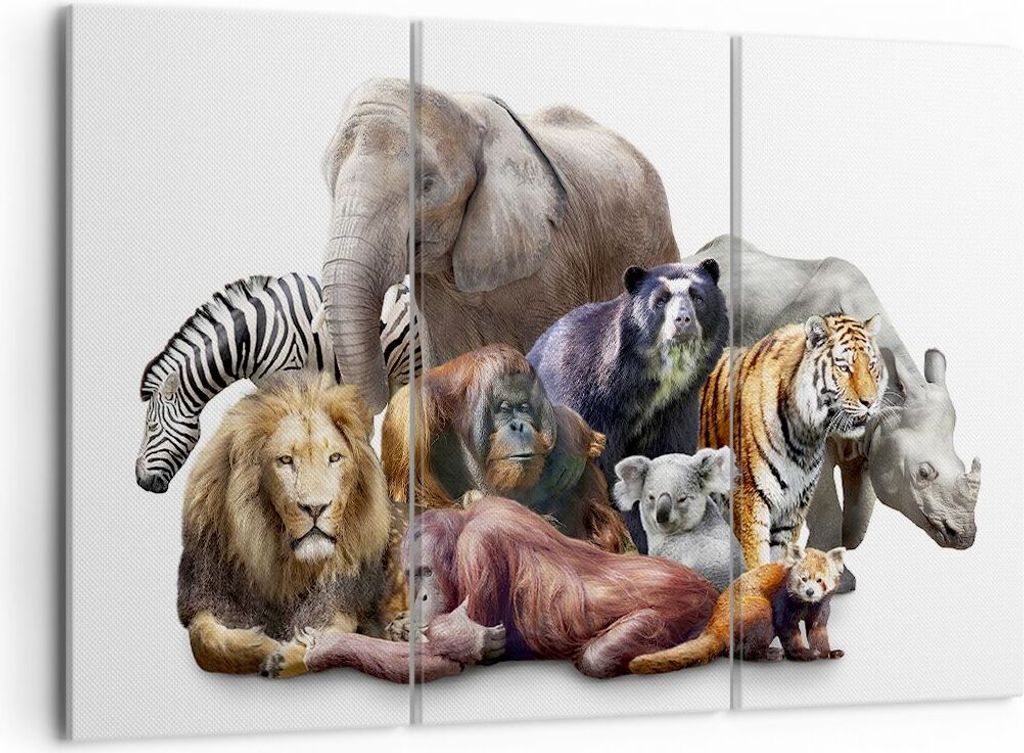 Bild auf Leinwand - Leinwandbild - Tiere Koala Löwe Affe - 105x70cm - Wand Bild - Wanddeko - Leinwanddruck - Bilder - Kunstdruck - Wanddekoration ...