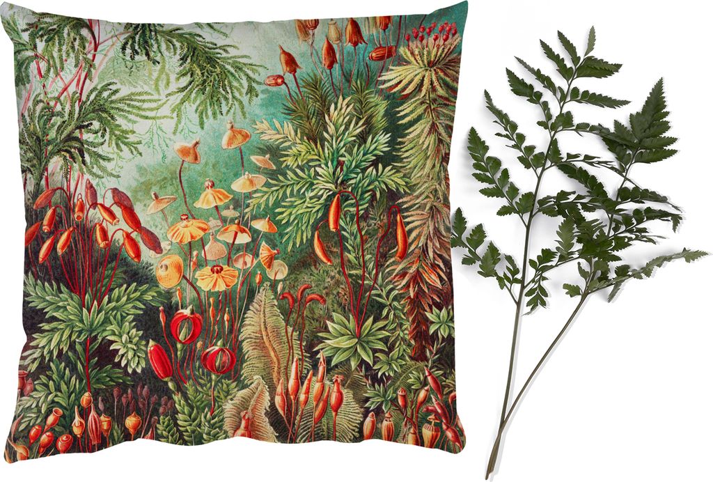MuchoWow Zierkissen Sofakissen Wohnzimmer Dekokissen 50x50 cm Blumen - Kunst - Vintage - Natur - Botanisch - Komfort - Sofakissen