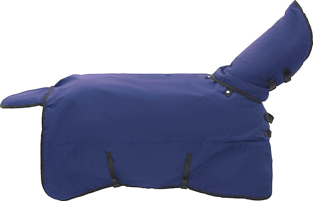 vidaXL Pferdedecke Dunkelgrün und Schwarz 95 cm Polyester