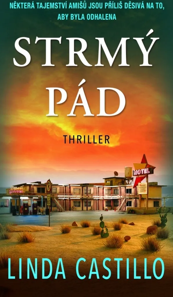 Roman Policier Strmý pád Castillo Linda : Thriller Suspens Édition Broché