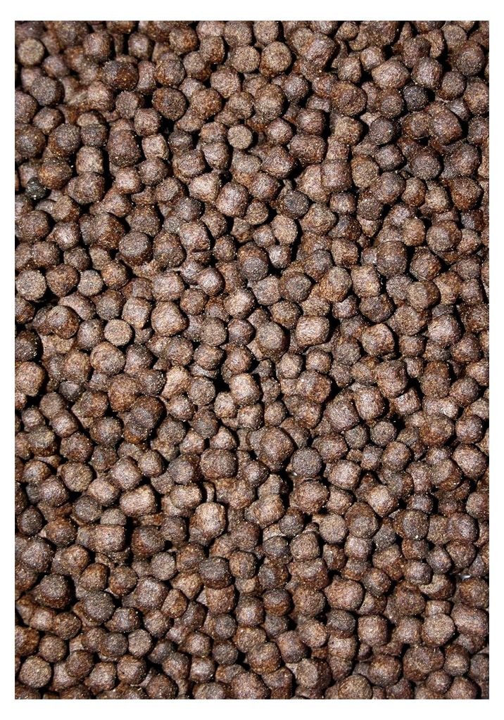 Sinkendes Energiefutter und Aufzuchtfutter für alle Störarten, professionelles Qualitätsfutter von Tomodachi, 5mm Störsinkfutter, 5kg Sack
