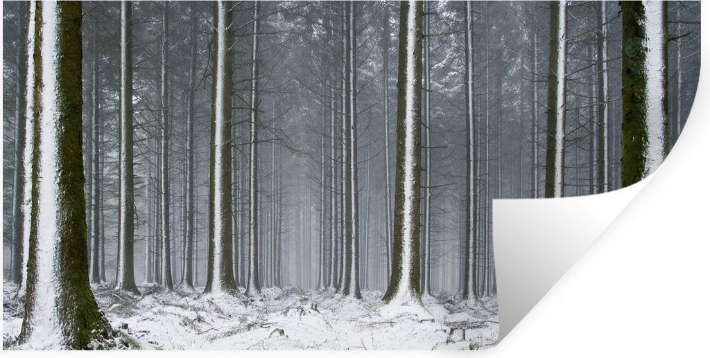 MuchoWow Wandtattoo Wandsticker Wandaufkleber Bäume - Winter - Schnee 40x20 cm Selbstklebend und Repositionierbar - Aufkleber