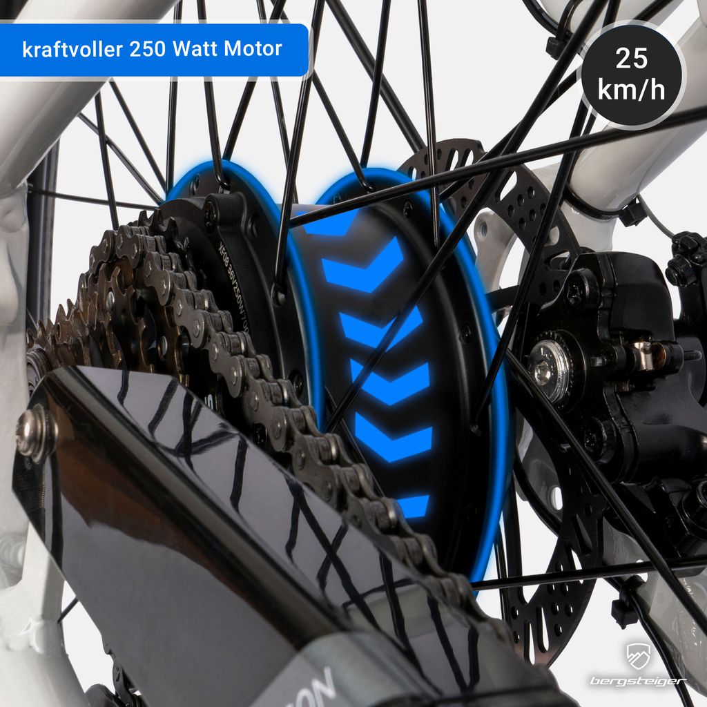 Bergsteiger Hampton 28 Zoll City E-Bike mit 250 Watt Motor, Produktbild 3