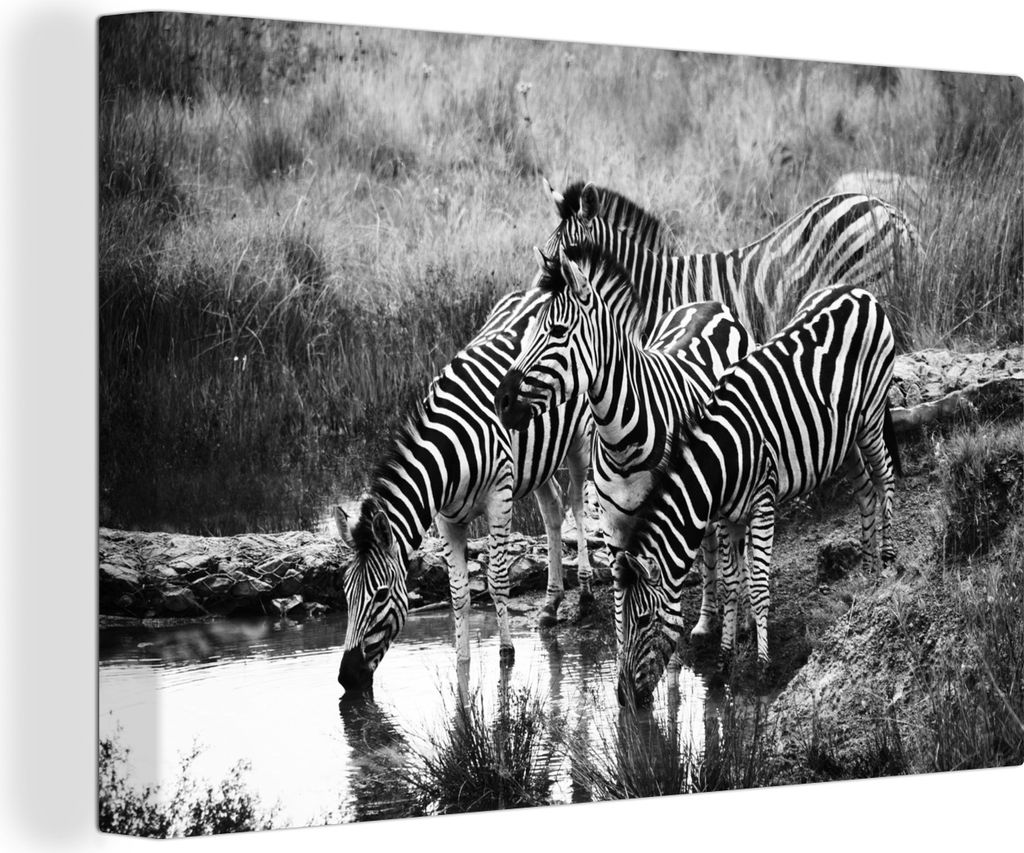 OneMillionCanvasses - Leinwandbilder - 150x100 cm, Trinkende Zebras, Wandbilder Kunstdruck Wanddekoration