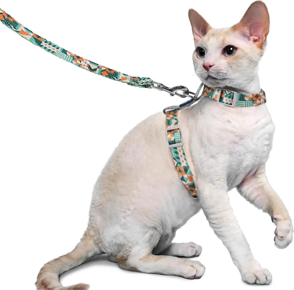 Supet Harnais Chat Anti-Fugue avec Laisse Réglable Gris Taille M 35-53cm