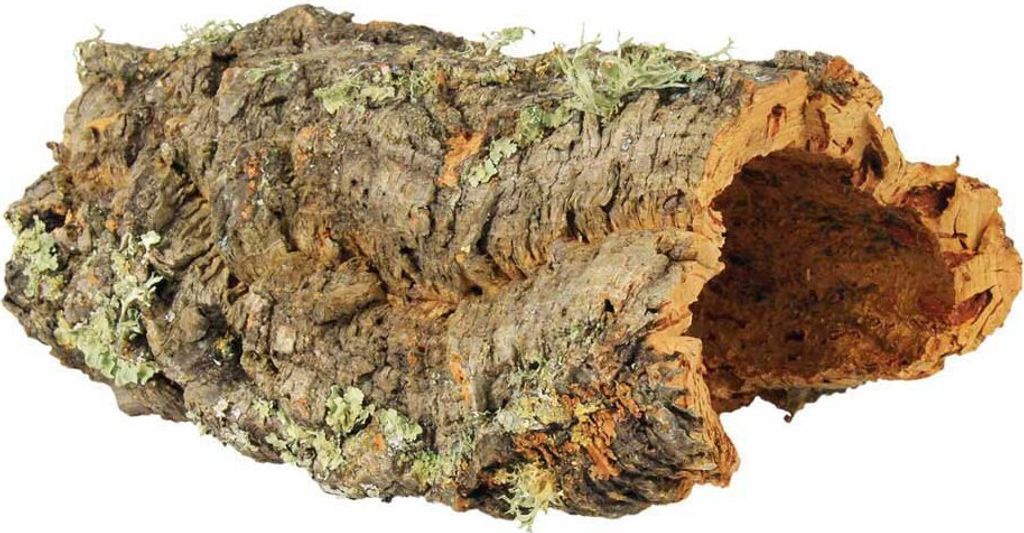 Korkplatte für Terrarien 15–25 cm × 28–55 cm