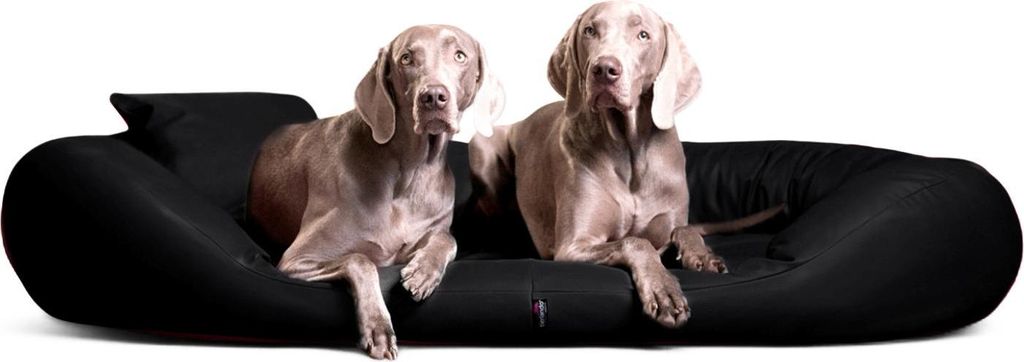 tierlando Orthopädisches Hundebett SAMMY | Pflegeleichtes Kunstleder | L-XXXXL - Größe: 140x105cm | Farbe: 03 Schwarz