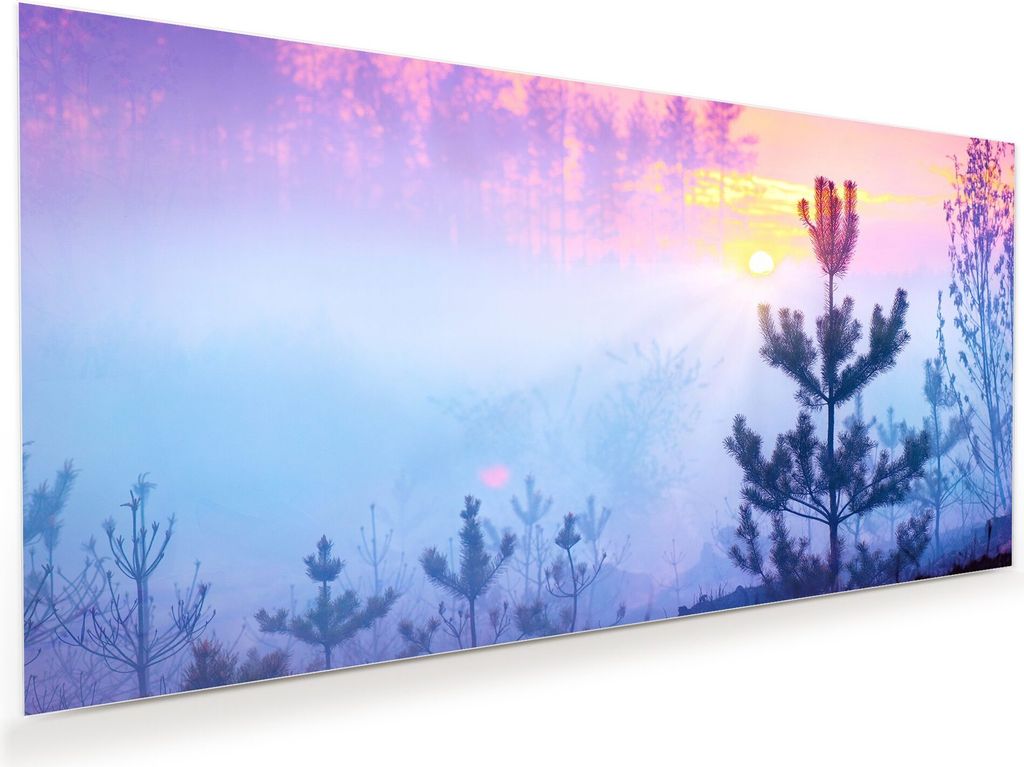Glasbild Wandbild Nebeliger Morgentau 110x55cm in XXL für Wohnzimmer, Schlafzimmer, Badezimmer, Flur