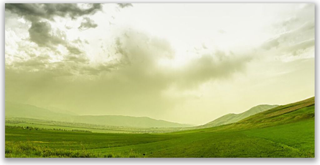 Küchenrückwand aus Glas 140x70cm Spritzschutz Wiese Natur