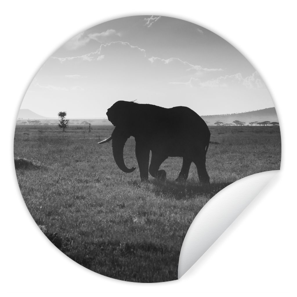 MuchoWow Runde Wandtattoo - Wandsticker Tapete Aufkleber Elefant - Einfarbig - Tiere - Schwarz und weiß Ø 30 cm Selbstklebend und Repositionier...