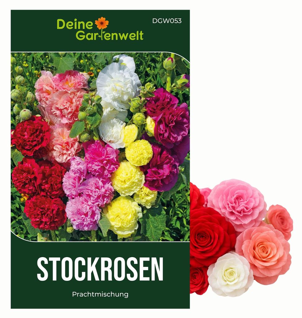 Stockrosen Prachtmischung Samen - Alcea rosea - Rosensamen Produktbild 