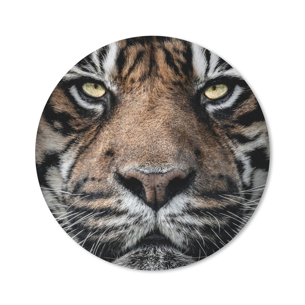 MuchoWow Mauspad Mousepad Porträt-Tiger auf schwarzem Hintergrund 40x40 cm - Mousepads - Maus Mat - Pad - Mausunterlage - Schreibtisch Accessoires