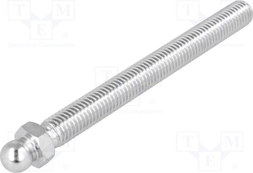 1x Bolzen Beschichtung: Zink 098MM10100M Füße Bolzenmaterial: Ø: 10mm M10
