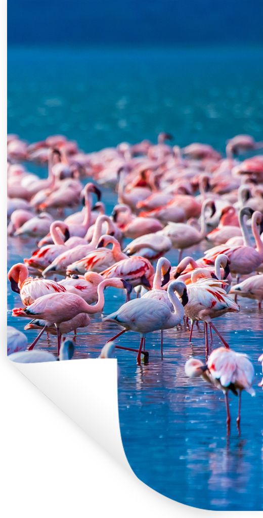 MuchoWow Wandtattoo Wandsticker Wandaufkleber Flamingo - Wasser - Tropisch - Rosa 20x40 cm Selbstklebend und Repositionierbar - Selbstklebend - F...