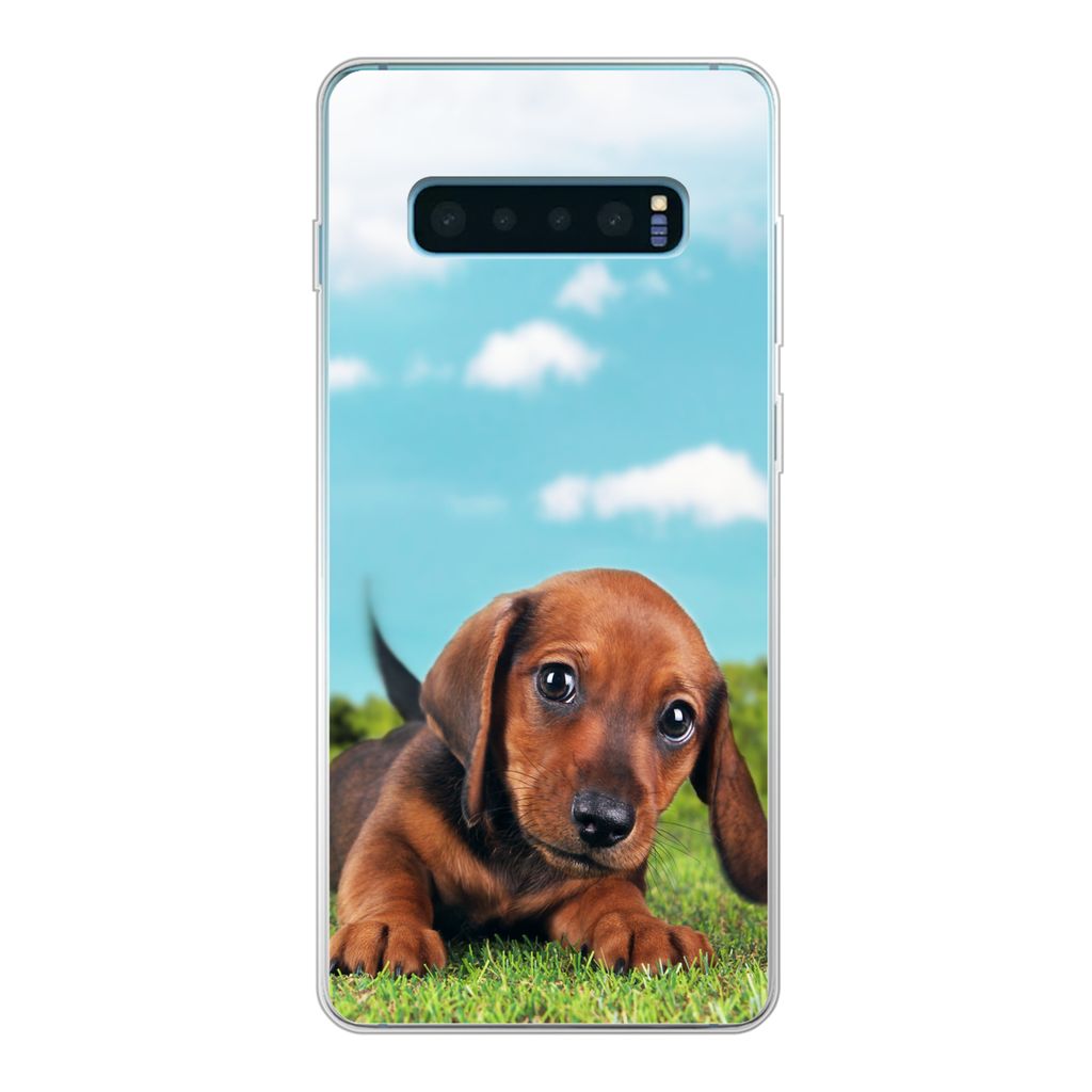 MuchoWow Handyhülle Schutzhülle Hülle für Samsung Galaxy S10 Plus Schöner Himmel über einem niedlichen Dackelwelpen Silikon Softcase Handy ...
