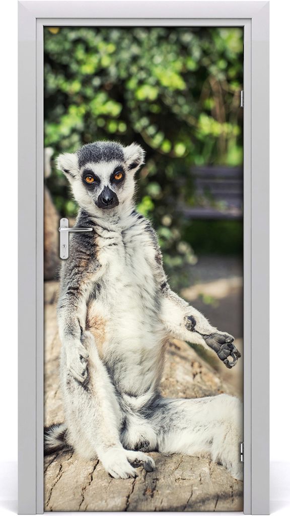 Tulup Türaufkleber 85x205 cm Dekorative Aufkleber Selbstklebend Wasserdichte Tapete Abnehmbar Schlafzimmer Wohnzimmer Wohnkultur - Wand lemur