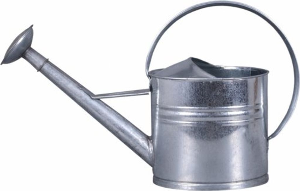 Arrosoir galvanisé avec rosace 10l Image du produit 