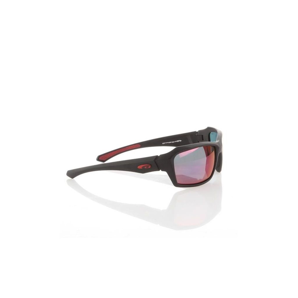 Goggle Brillen E2112P