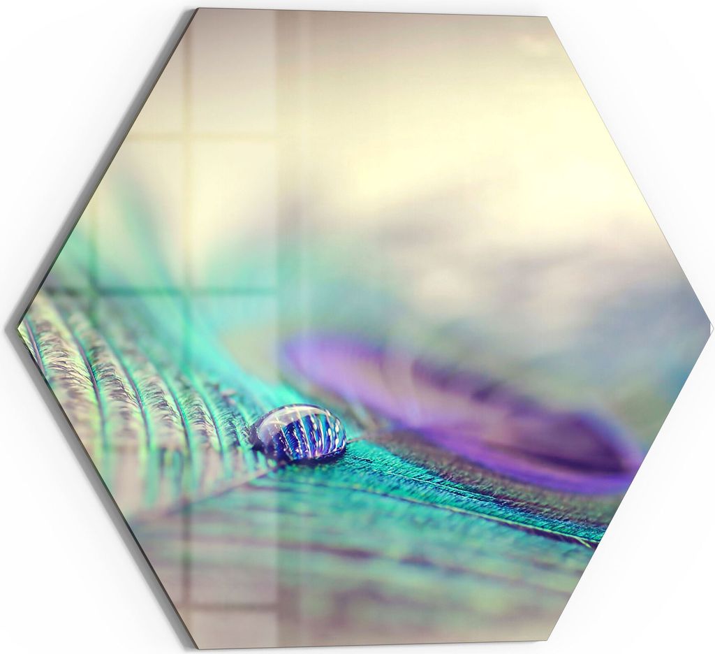 DEQORI Magnettafel Glas 40x35 cm 6-eckig 'Wasserperle auf Feder' beschreibbar Whiteboard