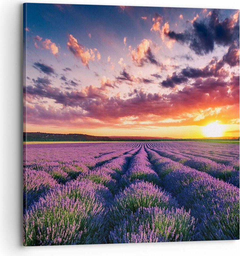 Bild auf Leinwand - Leinwandbild - Lavendel Berge Feld - 70x70cm - Wand Bild - Wanddeko - Wandbilder - Leinwanddruck - Bilder - Kunstdruck - Wandde...