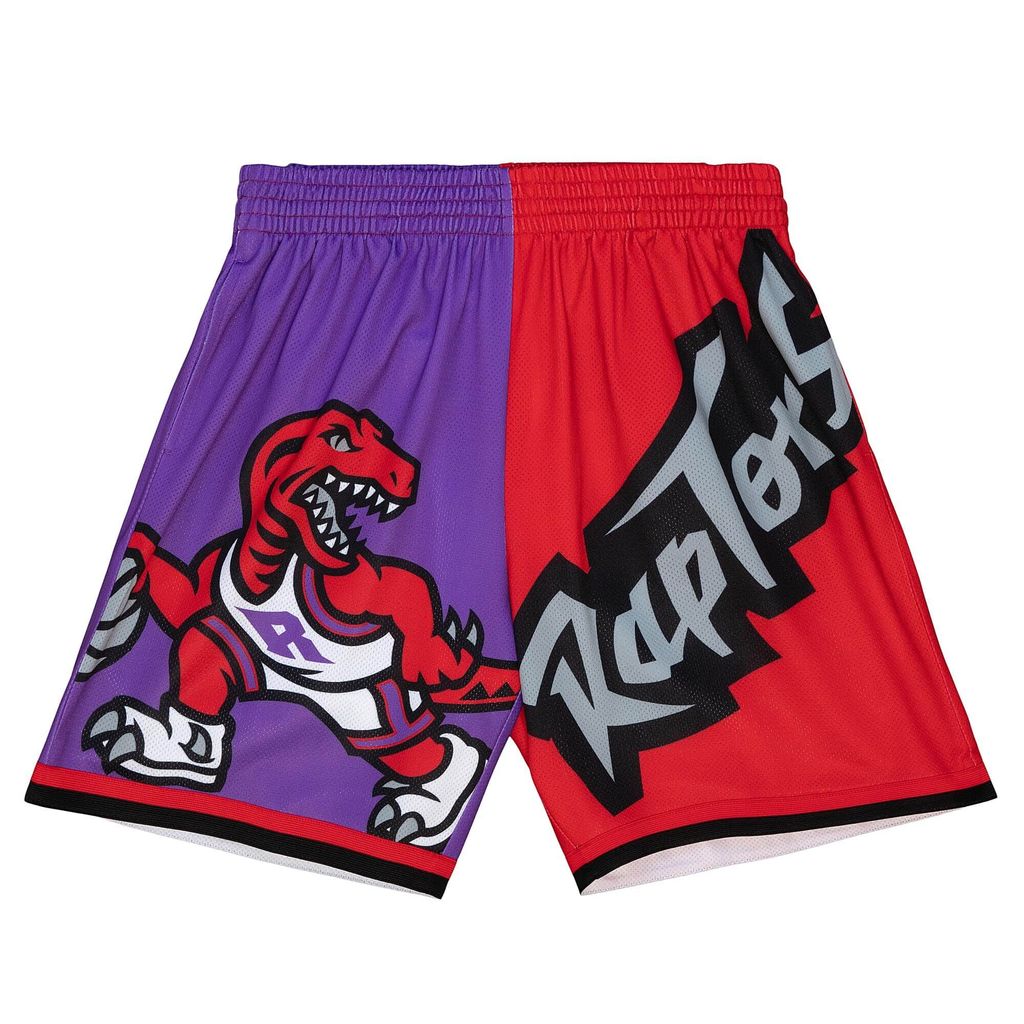 Toronto Raptors NBA Mitchell & Ness Big Face Fashion 5.0 Shorts-L