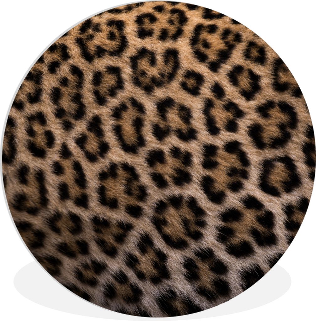 MuchoWow Rundes Wandbild - Runde Bilder Panther Druck Ø 90 cm Kreis Wanddekoration Kunststoff - Wandkreis - Wandschmuck - Wand-Kreis - Wohnzimme...