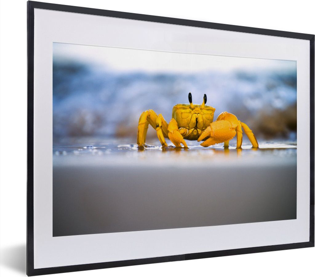 MuchoWow MuchoWow Gerahmtes Poster Krabbe - Strand - Meer 40x30 cm - Poster mit zchwarzem Bilderrahmen - Bilderrahmen - Poster im Rahmen
