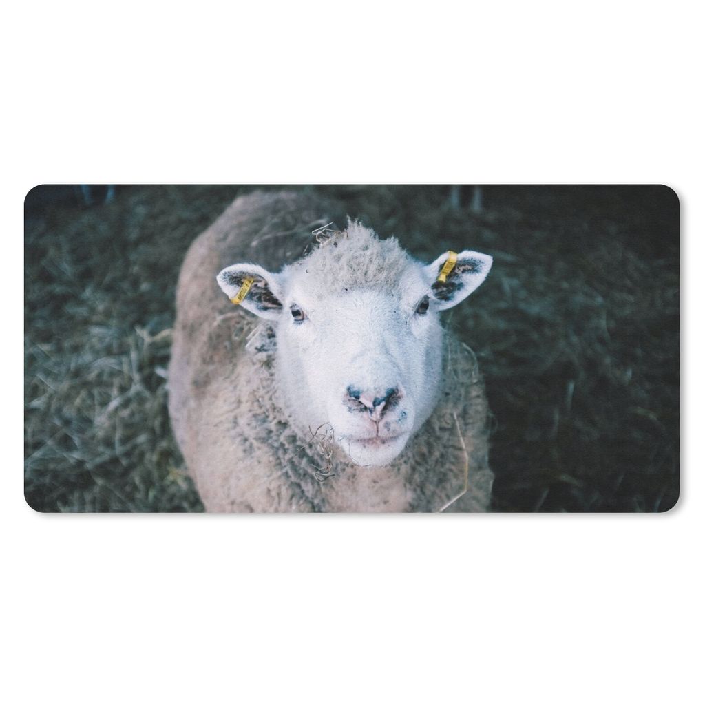MuchoWow Mauspad Mousepad Schafe - Tiere - Rinder 60x30 cm - Mousepads - Maus Mat - Pad - Mausunterlage - Nachhaltig