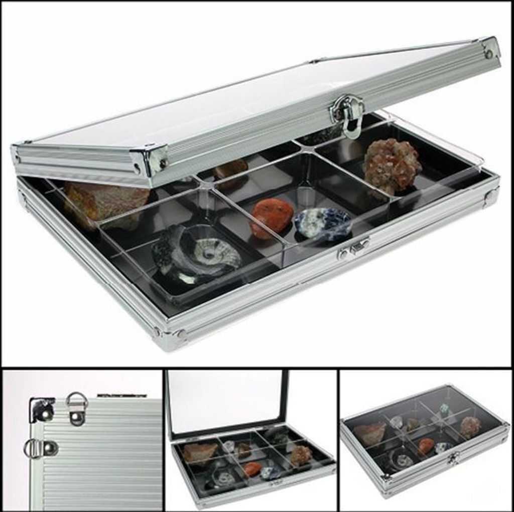 SAFE 5615 Sammel-Vitrine Alu im Compact-Format