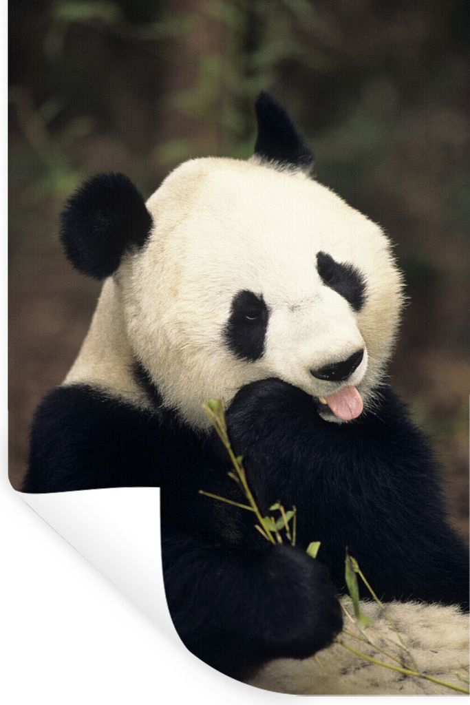 MuchoWow - Sticker - Dekorfolie