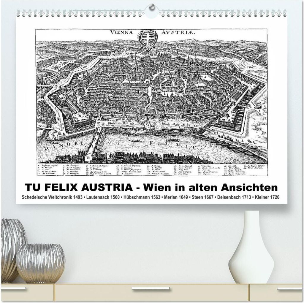 TU FELIX AUSTRIA - Wien in alten Ansichten (hochwertiger Premium Wandkalender 2026 DIN A2 quer), Kunstdruck in Hochglanz