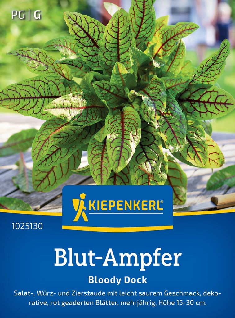 Kiepenkerl Blutampfer Samen Bloody Dock Rumex sanguineus 100 Pflanzen