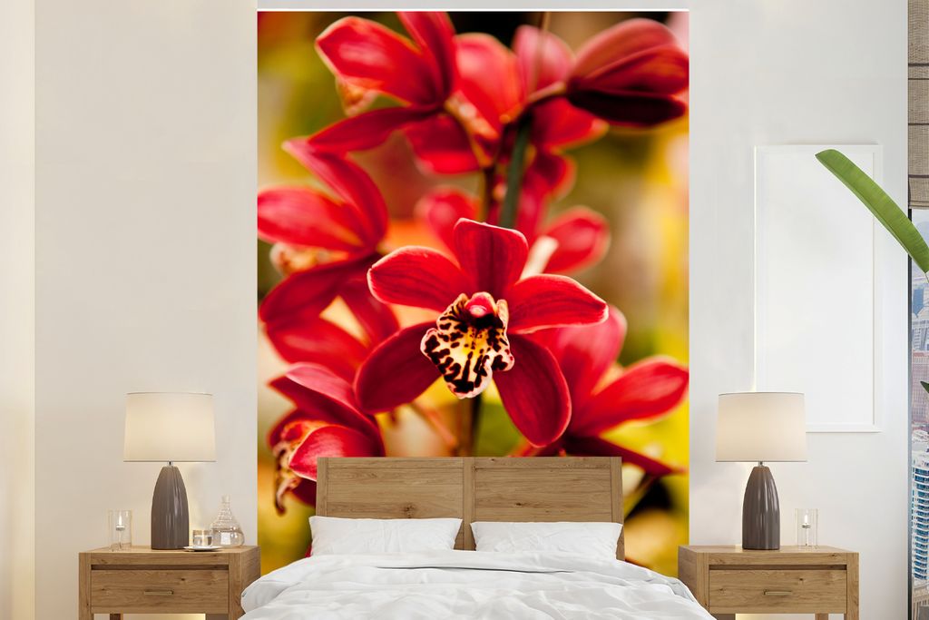 MuchoWow Fototapete für Wohnzimmer oder Schlafzimmer Wandtapete Vinyl Motivtapete Rote Orchideen mit verblasstem Hintergrund - 195x300 cm - Das ...
