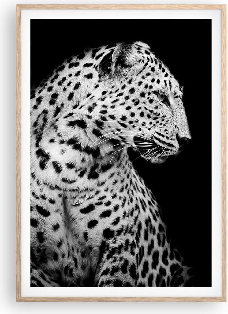 Gerahmtes Poster - Rahmen in heller Eiche - Leopard Panther Katze - 70x100 cm - Wand Bild - Wanddeko - Wandbilder - Kunstposter - Wandposter - Bild...
