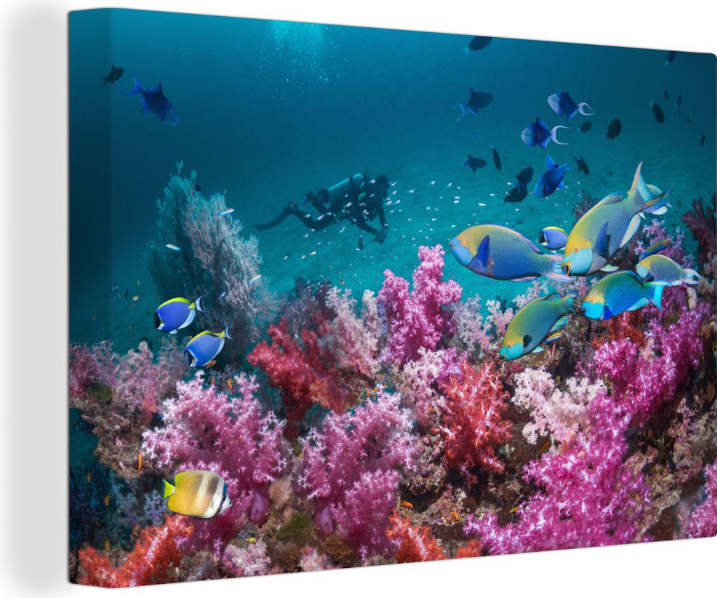 OneMillionCanvasses - Leinwandbilder - 140x90 cm, Tauchen - Papageienfisch - Koralle, Wandbilder Kunstdruck Wanddekoration
