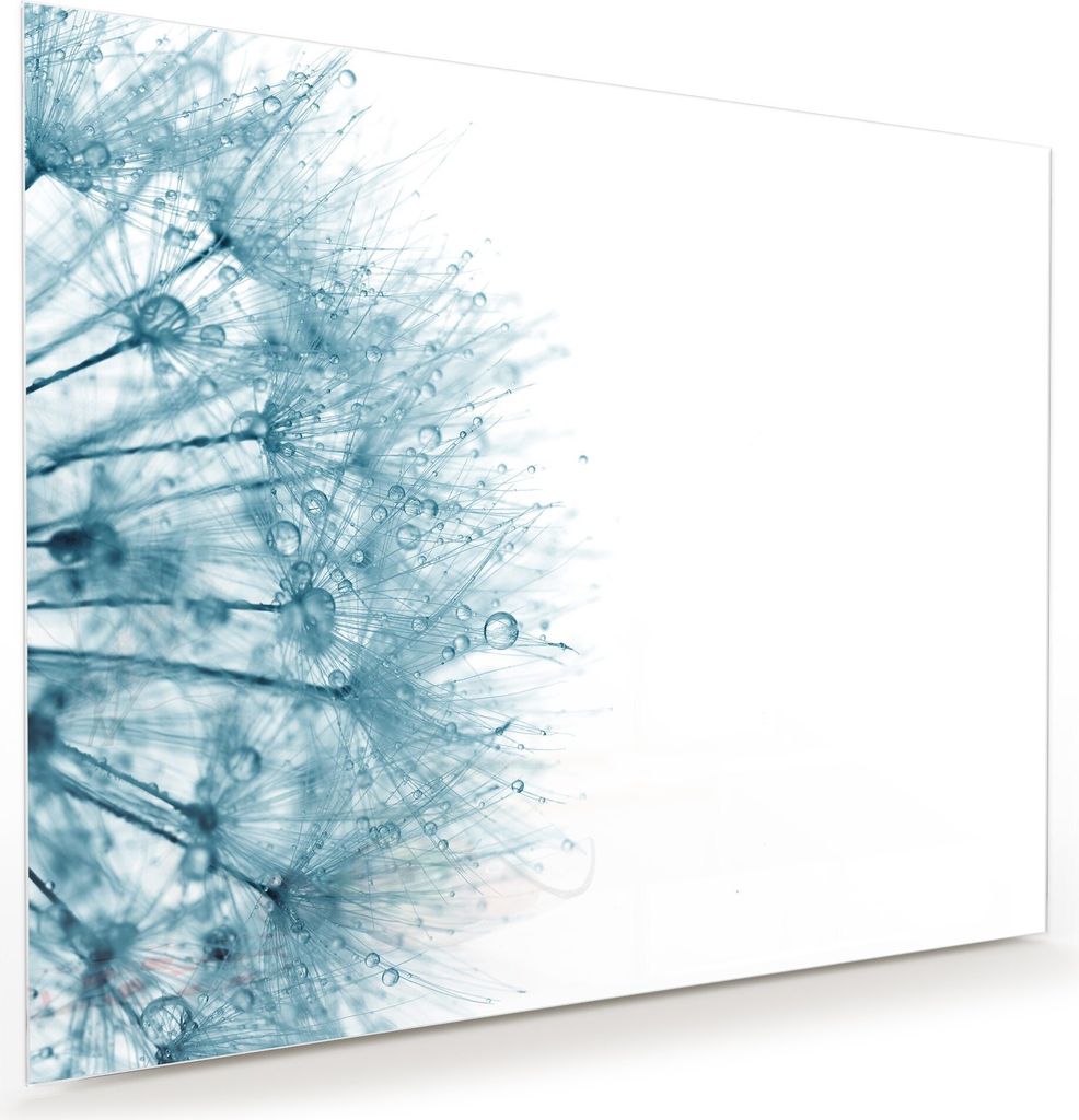 Glasbild Wandbild Löwenzahn mit Tropfen 100x80cm in XXL für Wohnzimmer, Schlafzimmer, Badezimmer, Flur