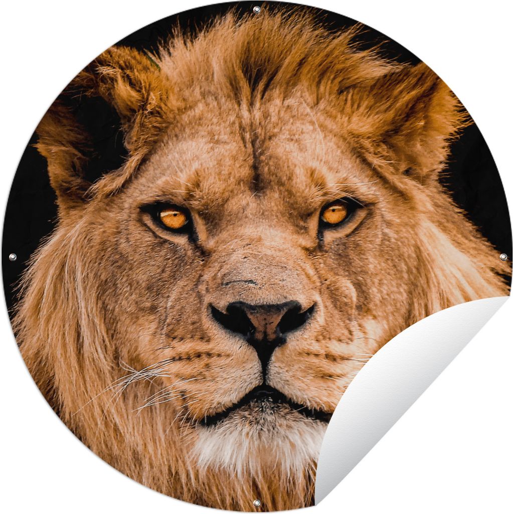 MuchoWow Gartenposter Outdoor-Poster Rund Löwe - Porträt - Schwarz Ø 60 cm Gartendeko Rundes Poster draußen
