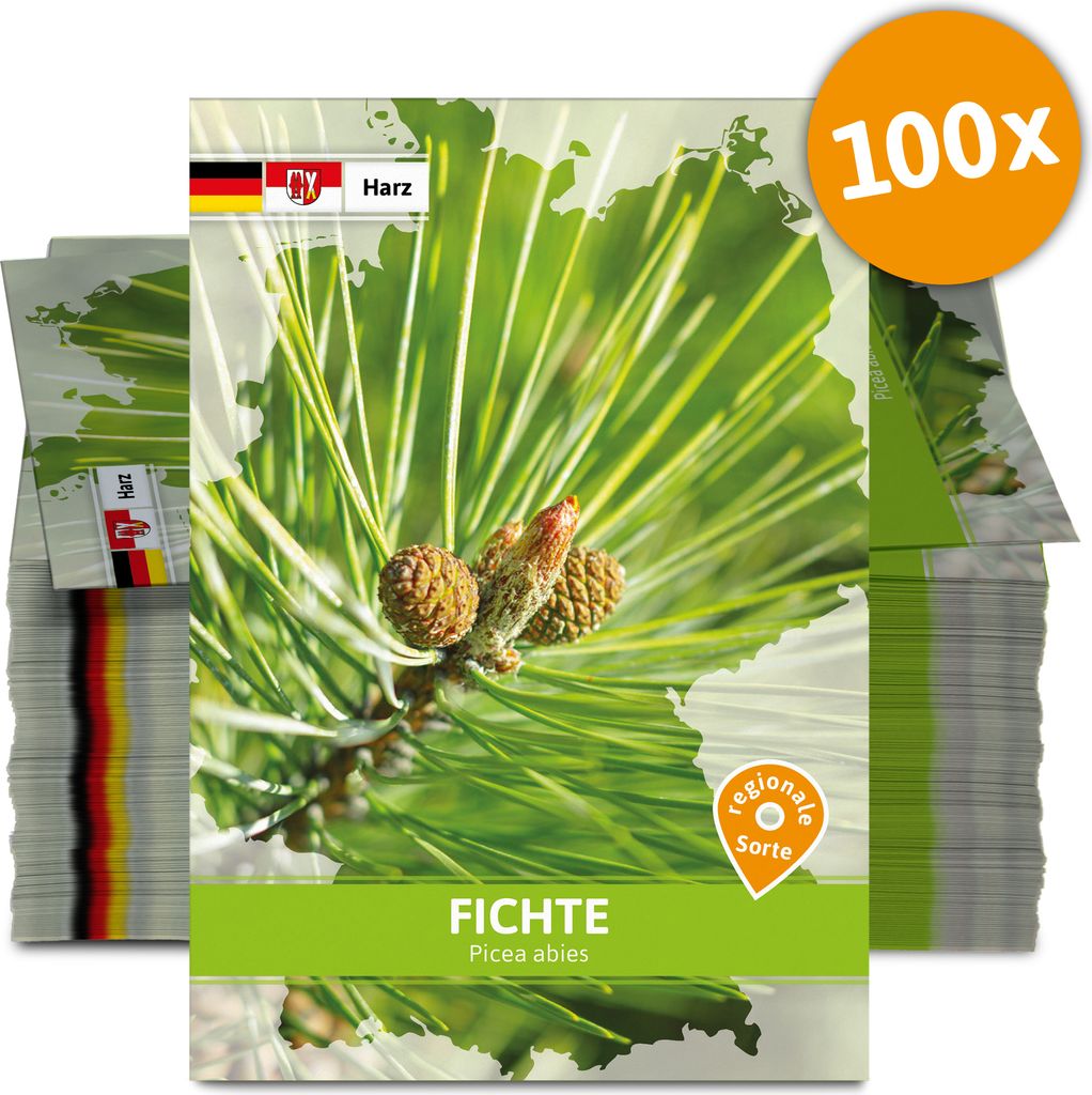 Fichte (Regionale Sorte Harz) (100 Tütchen) | Saatgut für Werbezwecke von FLORTUS