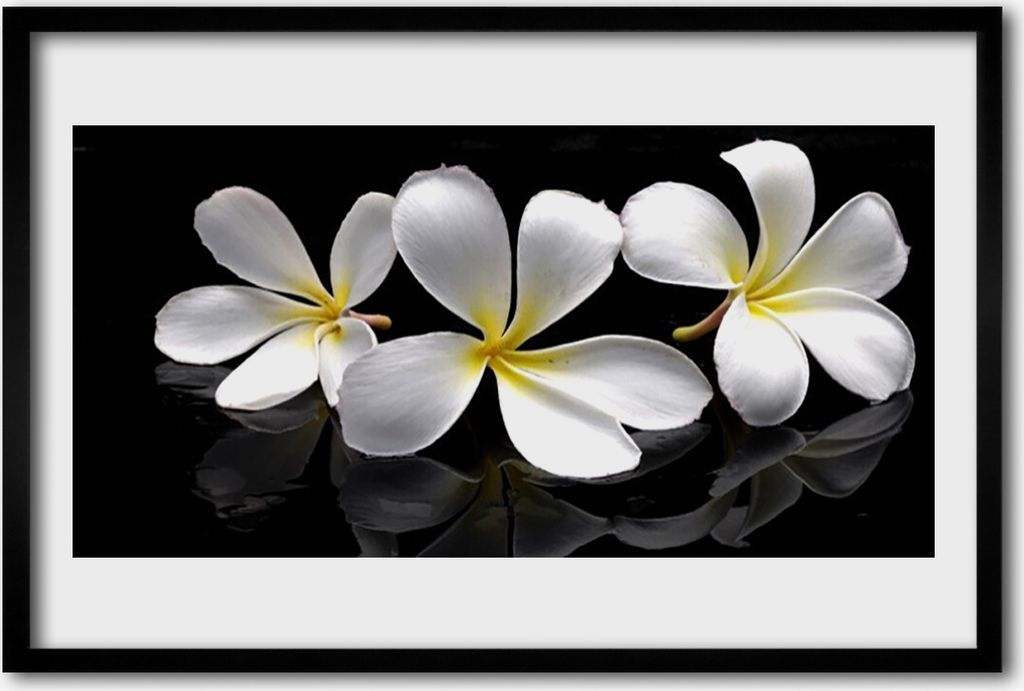 Bild 60x40 MDF-Rahmen Wandkunst Blumen Pflanzen