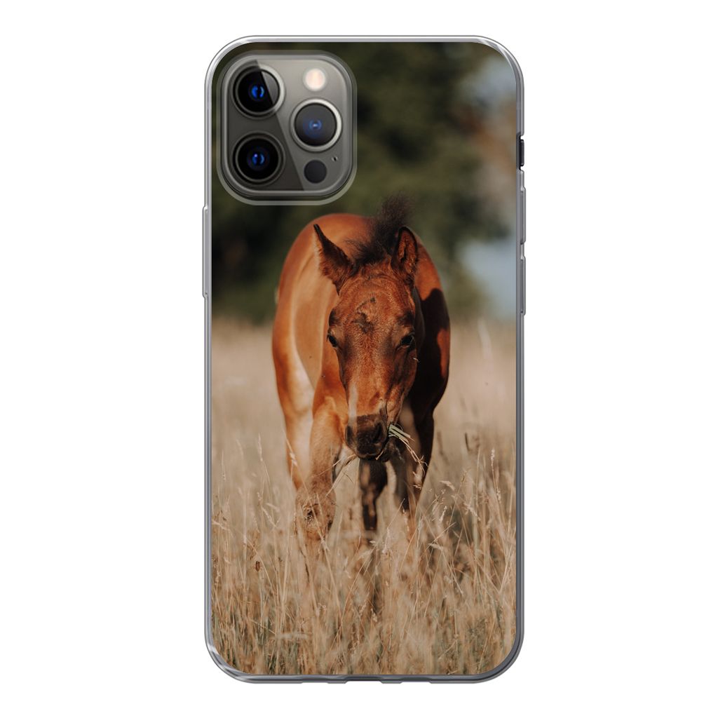 MuchoWow Handyhülle Schutzhülle Hülle für iPhone 13 Pro Pferd - Sonne - Landschaft Silikon Softcase Handy Hülle - Handy-Tasche