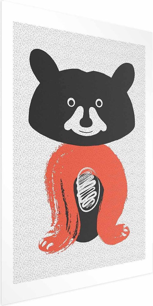 Posterpapier Poster - Friendly Mr. Raccoon 40x60 cm Für Kinder e-A-0118-ao-a