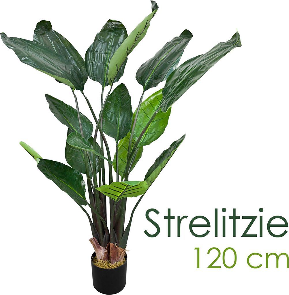 Strelitzia Plante Artificielle Artificiel Plastique Pot Image du produit 