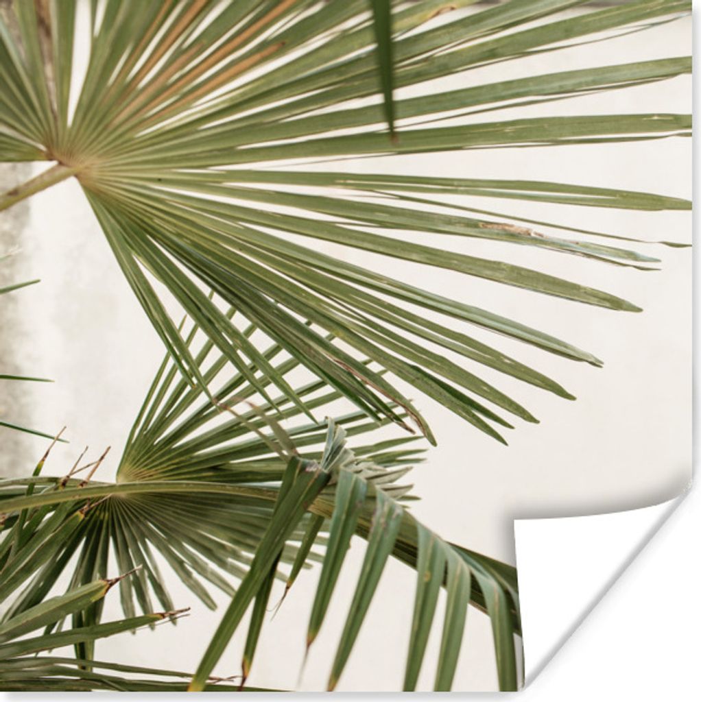 MuchoWow Poster Palme - Himmel - Blätter 30x30 cm - Wandposter - Printing