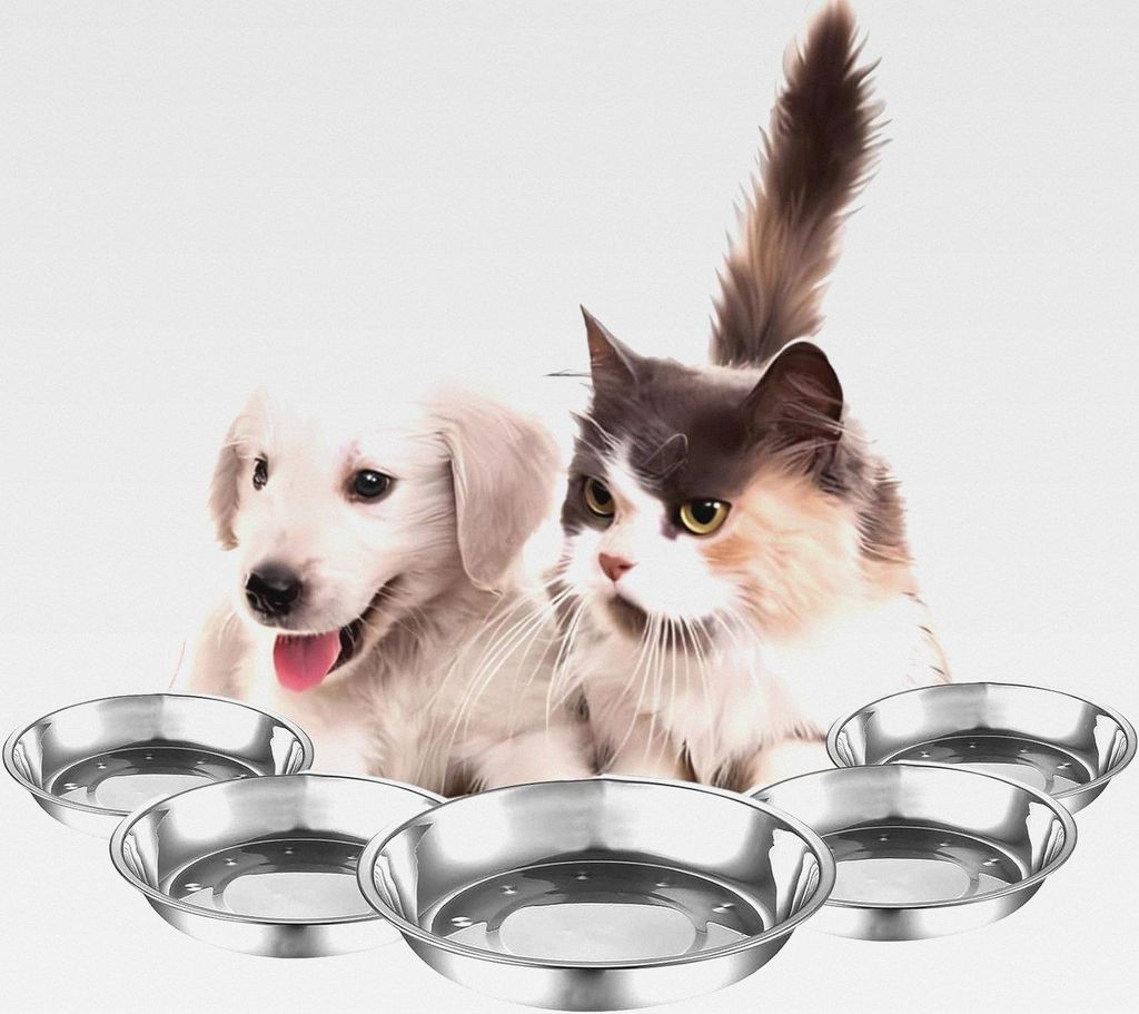 Futternapf Katze, 5 Stück Katzennäpfe Edelstahl, Napf Fressnapf Futterschüssel, Wasser Fütterung Schüssel, Flach Hund Futternapf, für Katzen ...
