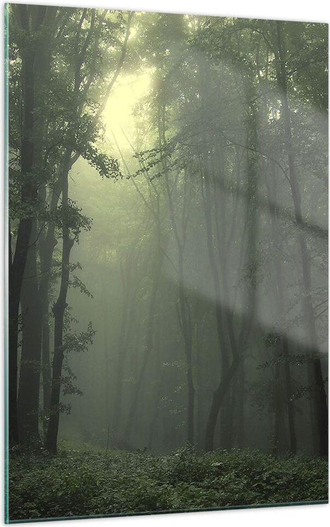 Bilder auf glas - Einteilig - Wald Nebel Baum - 50x70cm - Glasbilder - Wandbilder - Bilder - zum Aufhängen bereit - Wanddekoration aus Glas - Glas...