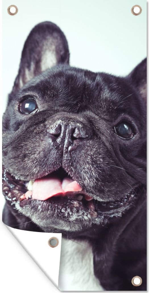 MuchoWow 30x60 cm Outdoor-Poster Gartendeko Sichtschutz Garten Poster für den Garten Französische Bulldogge - Schwarz - Stuhl